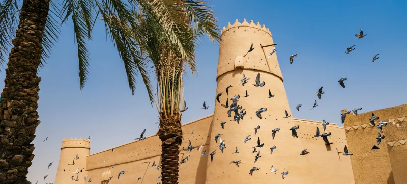 Riyadh & AlUla Tour 